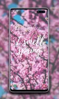 Spring Wallpaper