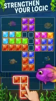 Block Ocean Puzzle 1010