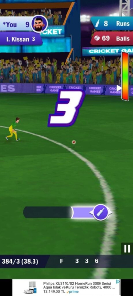 King Of Cricket Games