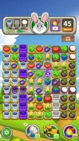 Farm Raid