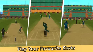 Super Chase Cricket Challenge