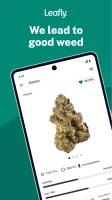 Leafly