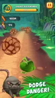Kakapo Run