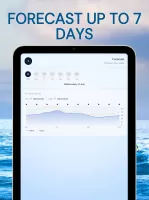 Wind Compass