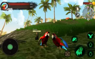 The Parrot