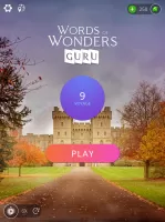 Words of Wonders: Guru