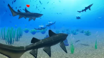 Helicoprion Simulator