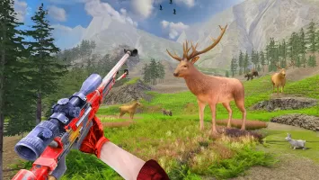 Animal Hunting