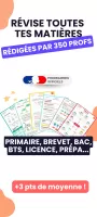 Brevet Bac Sup Primaire 2025