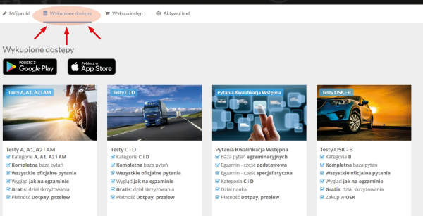 Polish Driving Test IMAGE