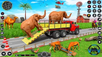 Animal Transports Truck Games