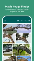 Hide Something: photos, videos