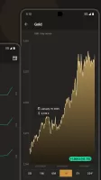 Gold and Silver Prices