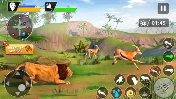 Lion Games Animal Simulator 3D