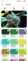 Color Palette