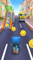 Cat Run
