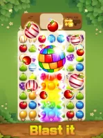 Fruits Magic Sweet Garden