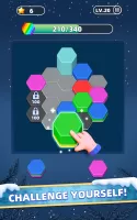 Hexa Puzzle Game: Color Sort