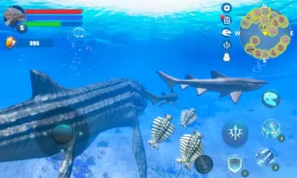 Leedsichthys Simulator