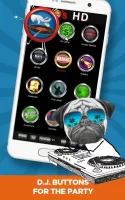 100's of Buttons & Sounds for