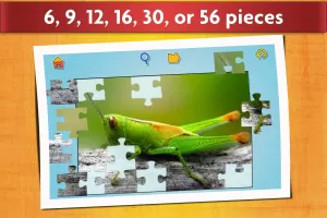 Insect Jigsaw Puzzle Game Kids