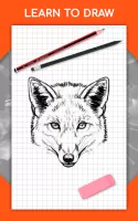 How to draw animals by steps