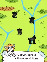 Monkey Evolution