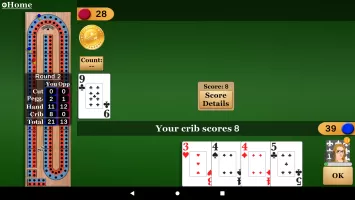 Cribbage Pro