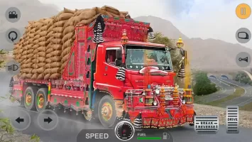 Indian Real Cargo Truck Driver