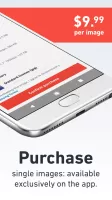 Shutterstock