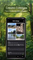 Piktures Gallery: Photo, Video