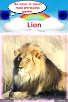 100 Animal sounds & pictures