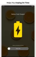 Full Battery Charge Alarm