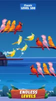 Bird Sort - Color Birds Game