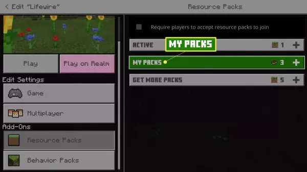 How to Install Minecraft Resource Packs?