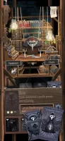 Card Thief