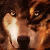 Devilwolf gaming