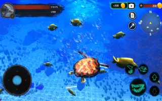 The Turtle