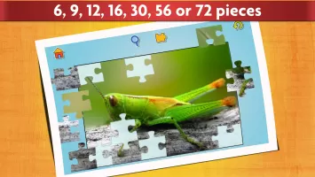 Insect Jigsaw Puzzle Game Kids