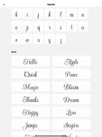 Calligraphy - Cursive Practice
