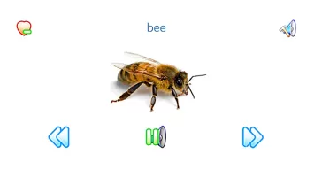 Sounds of Fauna + ringtones