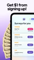 SurveyMagic