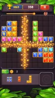 Block Puzzle Jewel Blast