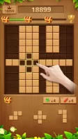 Wood Block Puzzle Addictive