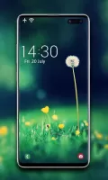 Spring Wallpaper