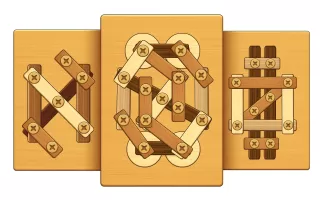 Screw Puzzle