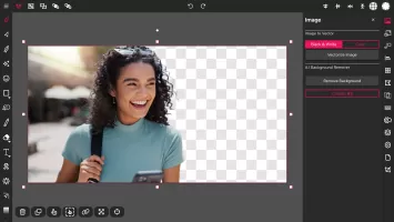 Vector Ink: SVG, Illustrator