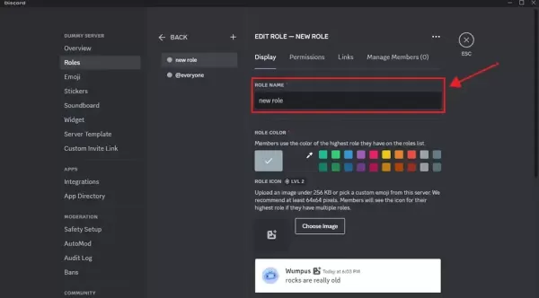 How to Make User an Admin on Discord Server？