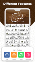 Surah Yasin | Surah Yaseen