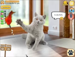 Fruwee